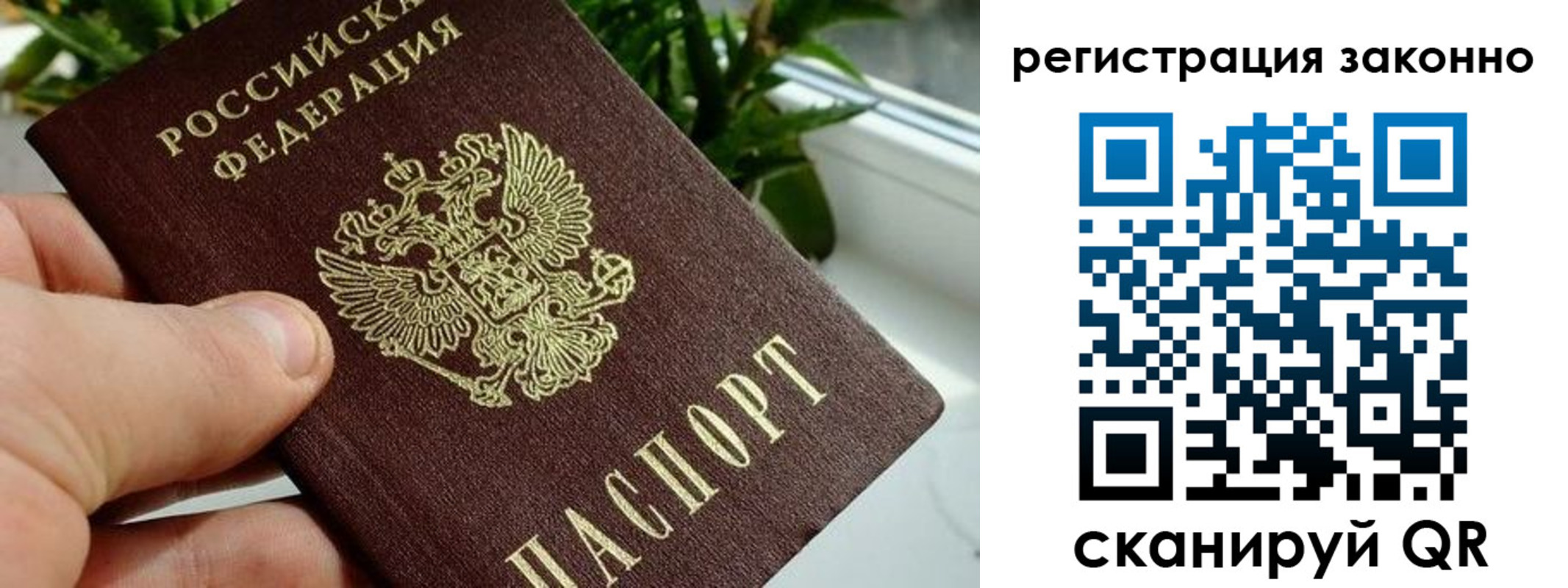 прописка гарантия в Мариинске